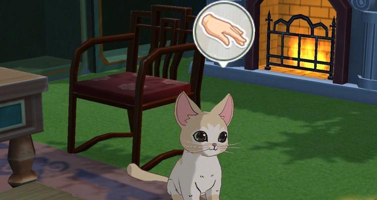 小森生活猫碗放不下？如何解决尺寸不匹配问题？