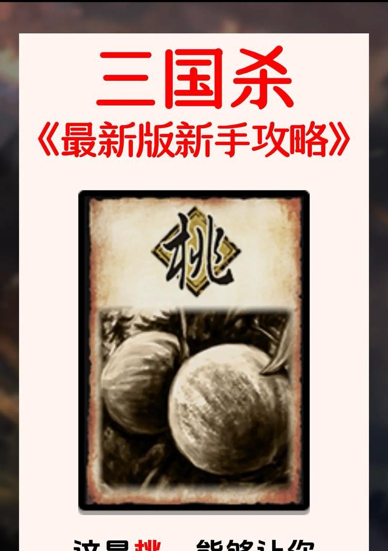 兄弟俩的三国杀版本有哪些？各自的特色是什么？