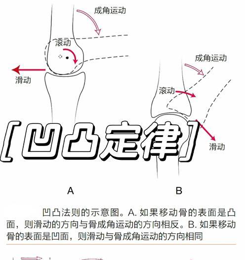 滑步加速设置方法是什么？