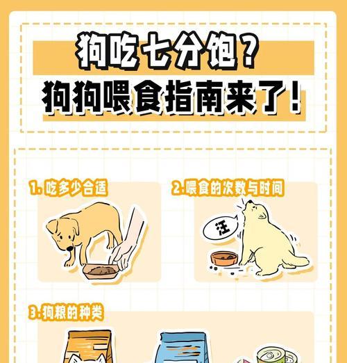 喂食狗狗的正确方法是什么？