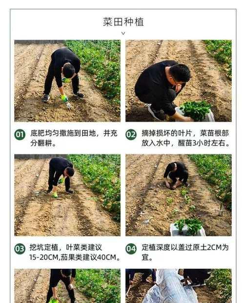 我的世界如何连锁种菜？有哪些技巧？